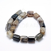 Natural Agate Beads Strands G-L551D-16-3