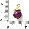 Alloy Enamel Pendants AL-CBA24A7-01G-03-3