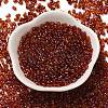 Spray Painted Glass Seed Beads SEED-F005-05A-05-2
