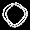 Electroplate Opaque Column Glass Beads Strands EGLA-A043-02-AB03-2