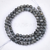 Natural Hawk's Eye Beads Strands G-S333-6mm-034-2
