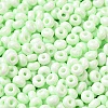 Baking Paint Glass Seed Beads X1-SEED-B001-02A-11-3
