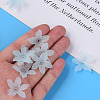 Transparent Acrylic Beads MACR-S373-127-D02-2