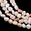 Natural Shell Beads Strands SHEL-K006-76-3