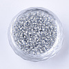 Glass Cylinder Beads SEED-Q036-01A-A09-2