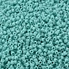 MIYUKI Delica Beads SEED-MY11-DB1136-1