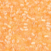 Glass Seed Beads SEED-N007-27E-3