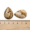 Natural Picture Jasper Cabochons G-B085-03B-10-3