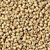 TOHO Round Seed Beads X-SEED-TR08-PF0557F-2