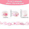 100Pcs Natural Trochid Shell/Trochus Shell Beads BSHE-SC0001-16B-2