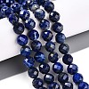 Natural Lapis Lazuli Beads Strands G-S345-8mm-24-2