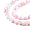 Natural Freshwater Shell Beads Strands X-BSHE-T009A-01C-3