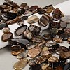Natural Petrified Wood Beads Strands G-C253-06-1