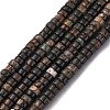 Natural Biotite Beads Strands G-L624-I12-2x4mm-2