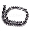 Dyed Imitation Gemstone Glass Beads Strands GL-Z001-03B-09-4