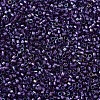 MIYUKI Delica Beads SEED-X0054-DB1756-3