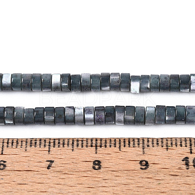 Natural Trochus Shell Beads Strands SHEL-S278-027J-1
