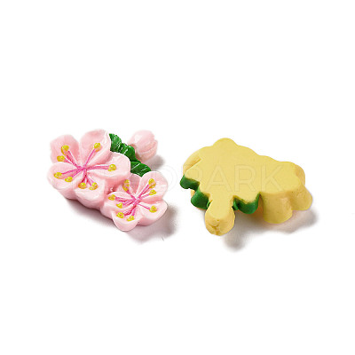 Opaque Resin Cabochons RESI-R455-01J-1