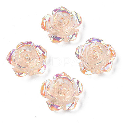Transparent Resin Cabochons CRES-N030-001B-05-1