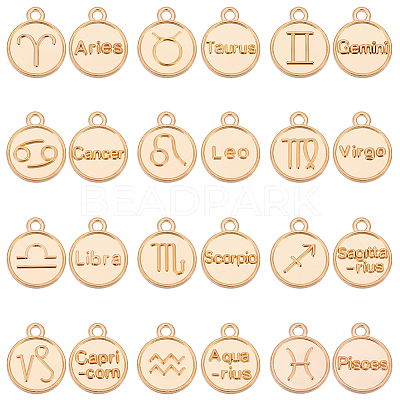 120Pcs 10 Sets Constellation Theme Golden Plated Alloy Charms FIND-PH0008-88-1