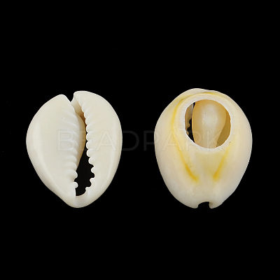 Natural Mixed Cowrie Shell Beads BSHE-S053-01-1