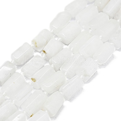 Natural Rainbow Moonstone Beads Strands G-O170-121-1