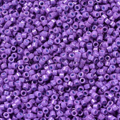 MIYUKI Delica Beads X-SEED-J020-DB0660-1