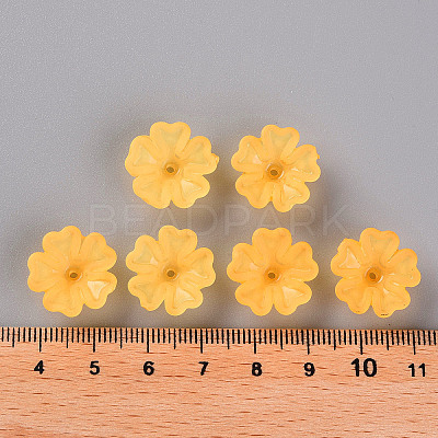 Transparent Frosted Acrylic Bead Caps MACR-S371-04A-724-1