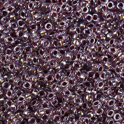 MIYUKI Round Rocailles Beads X-SEED-G009-RR3206-1