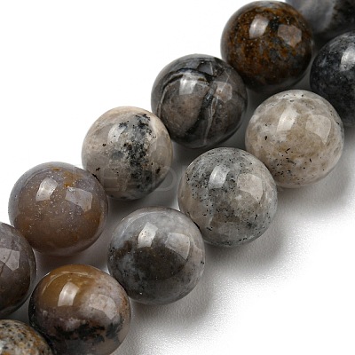 Natural Dendritic Jasper Beads Strands G-R494-A23-03-1