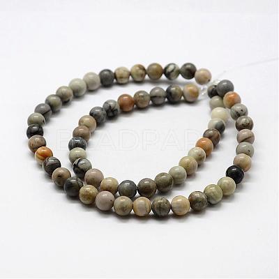 Natural Polychrome Jasper/Picasso Stone/Picasso Jasper Bead Strands G-G667-01-6mm-1