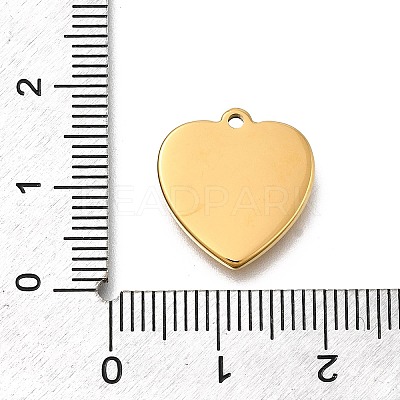 304 Stainless Steel Rhinestone Pendants STAS-R159-55G-04-1
