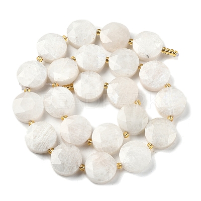 Natural Rainbow Moonstone Beads Strands G-C116-A168-03-1