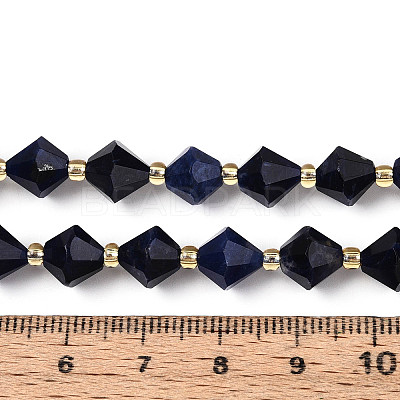 Natural Lapis Lazuli Beads Strands G-T144-23A-02-1