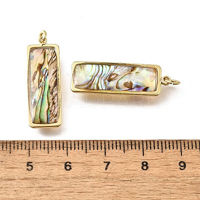 Natural Paua Shell & Epoxy Resin Pendants KK-E794-02G-07-1