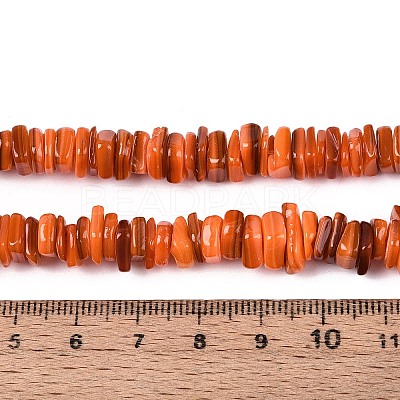 Natural Freshwater Shell Beads Strands SHEL-N037-01B-1