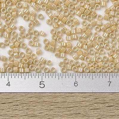 MIYUKI Delica Beads SEED-X0054-DB1571-1
