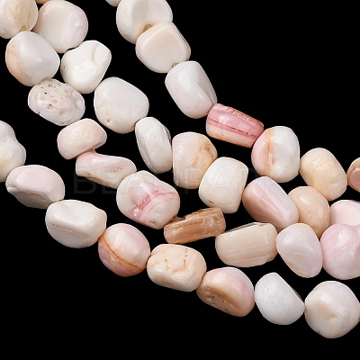 Natural Shell Beads Strands SHEL-K006-76-1