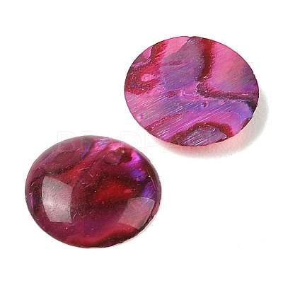 Natural Abalone Shell/Paua Shell Resin Cabochons X-SSHEL-K003-10MM-02-1