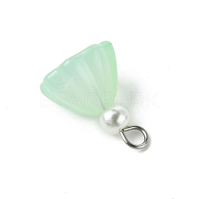 7Pcs Acrylic Charms PALLOY-JF03242-1