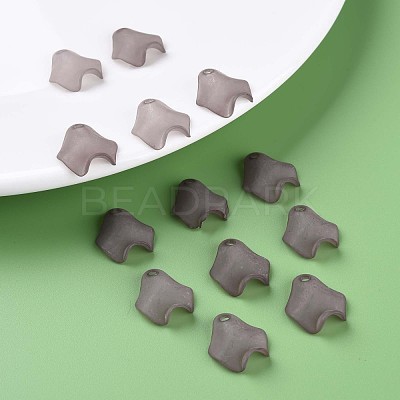 Transparent Acrylic Beads MACR-S373-106-D02-1
