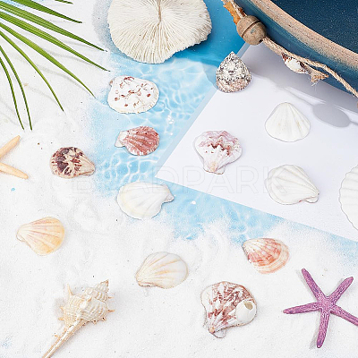 40Pcs Natural Scallop Shell Beads SSHEL-SP0001-02-1