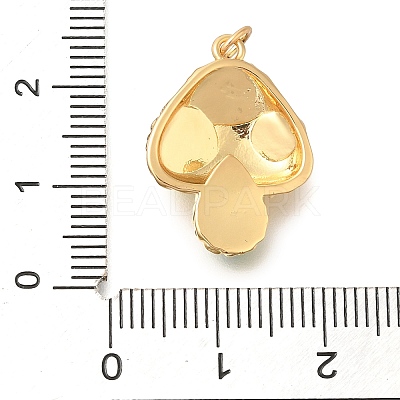 Brass Pendants KK-U040-01G-02-1
