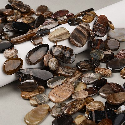 Natural Petrified Wood Beads Strands G-C253-06-1