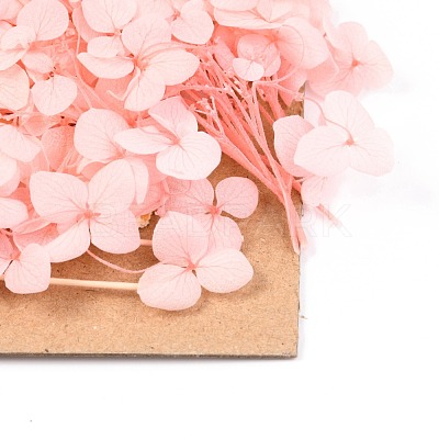 Dried Flower DIY-B018-09-1