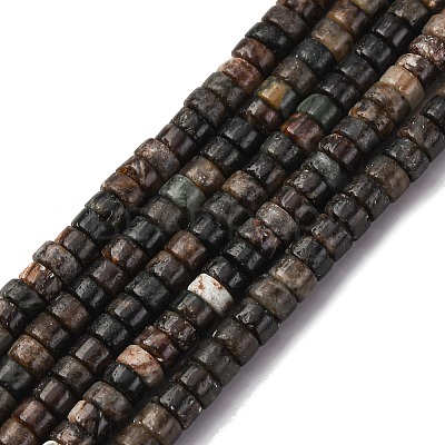 Natural Biotite Beads Strands G-L624-I12-2x4mm-1