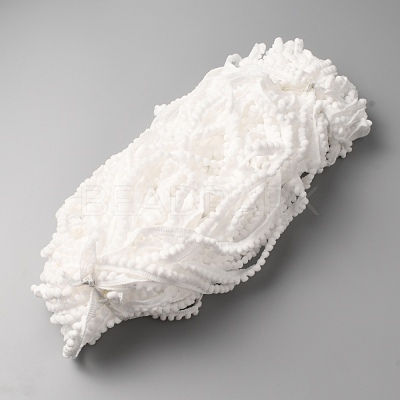 Polyester Lace Trim OCOR-WH0073-94C-1