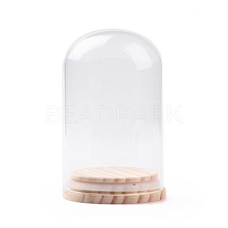 Glass Dome Cover DJEW-E009-01-1