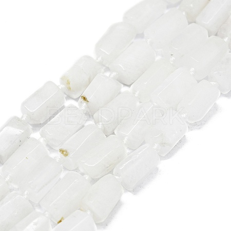 Natural Rainbow Moonstone Beads Strands G-O170-121-1