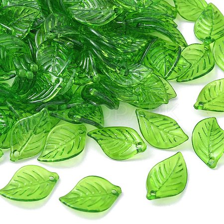 Transparent Acrylic Pendants TACR-YW0001-63-1